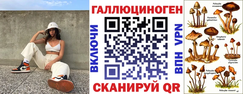Купить где  Щёлкино  Псилоцибиновые грибы Magic Shrooms 